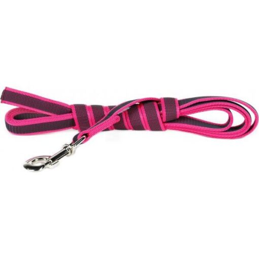 Lange lijn hond - Antislip - 20mm x 3m - Afbeelding 4