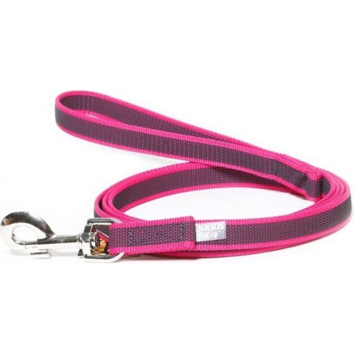 Antislip Hondenriem - 20mm x 2m  - Met handvat - Afbeelding 4