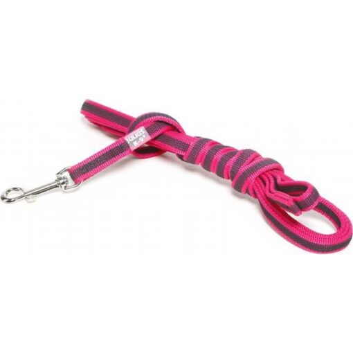 Lange lijn hond - Antislip - 14mm x 3m - Met handvat - Afbeelding 4