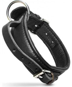 Eco Lederen halsband - Met handvat