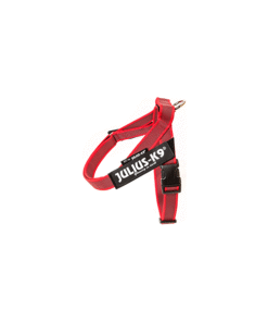 IDC Riemtuig Rood