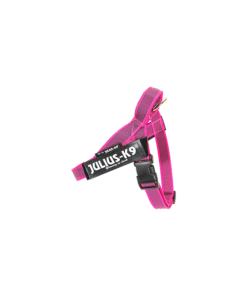 IDC Riemtuig Roze - Maat Mini Mini