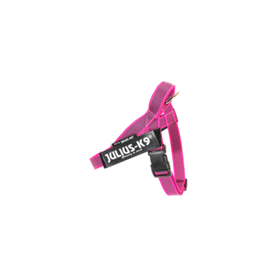 IDC Riemtuig Roze