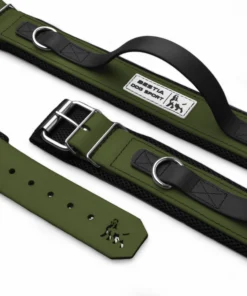 BESTIA DOG SPORT HANDLE COLLAR GREEN WITH BLACK HANDLE