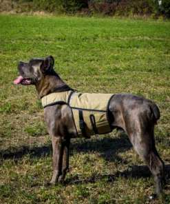 Bestia Dog Sport Weighted Harness KHAKI