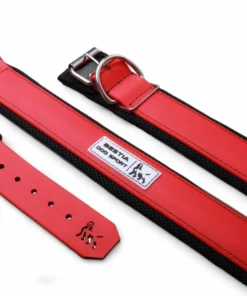 BESTIA DOG SPORT COLLAR RED