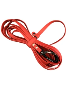 Bestia Dog Sport Multifunctional Drag Leash RED