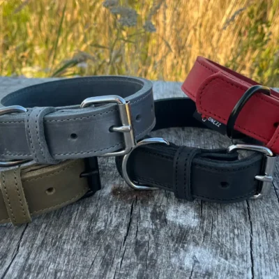 Ontdek onze nieuwe collectie leren halsbanden & hondenriemen