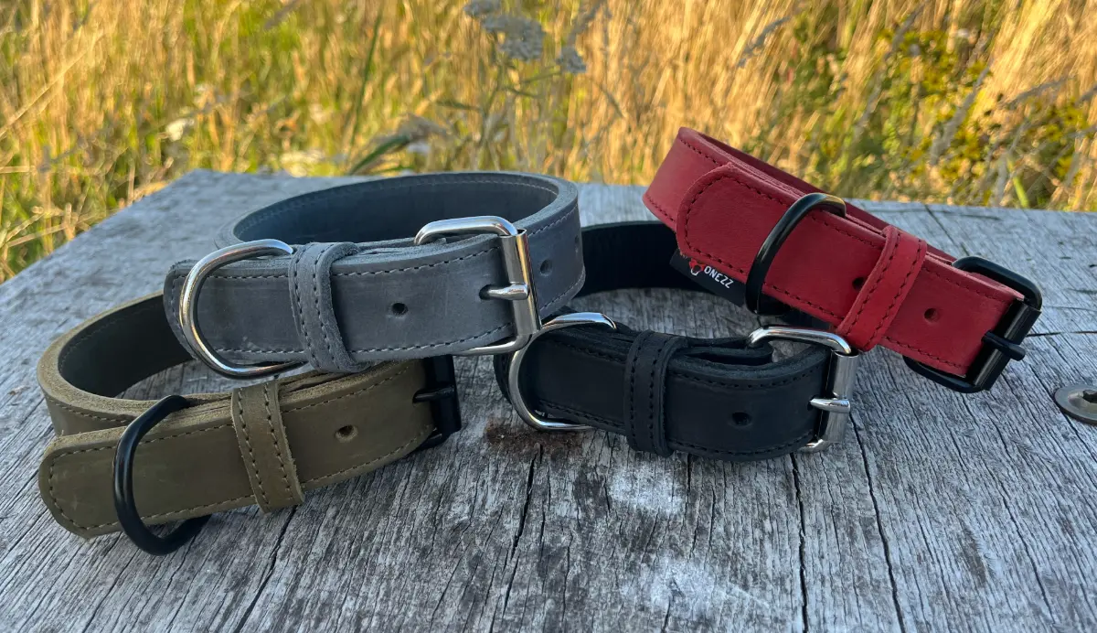 Ontdek onze nieuwe collectie leren halsbanden & hondenriemen